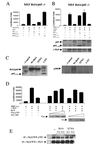 FIG. 7