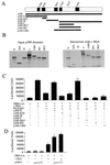 FIG. 8