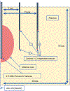 Fig. 1.