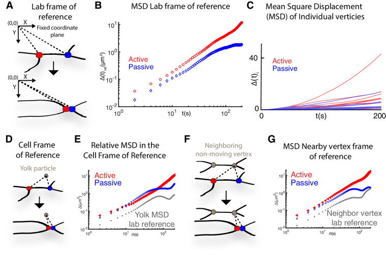 Figure 1—figure supplement 2.