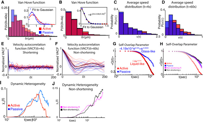 Figure 1—figure supplement 3.