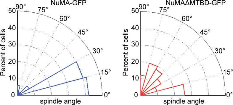 Figure 3—figure supplement 3.
