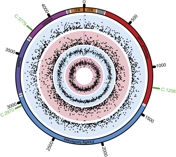 Figure 3