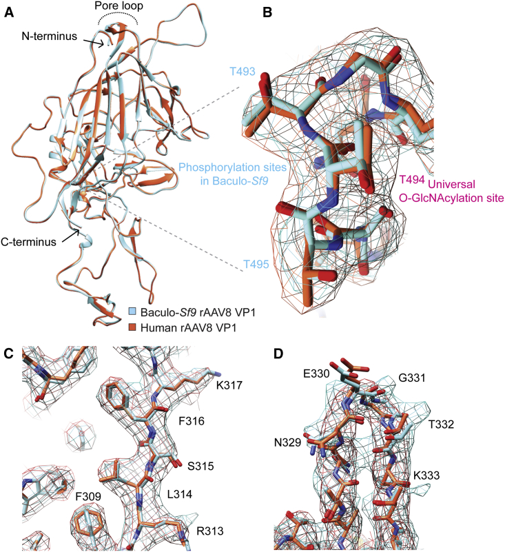 Figure 2