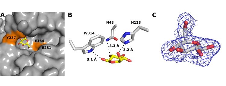 Fig 5