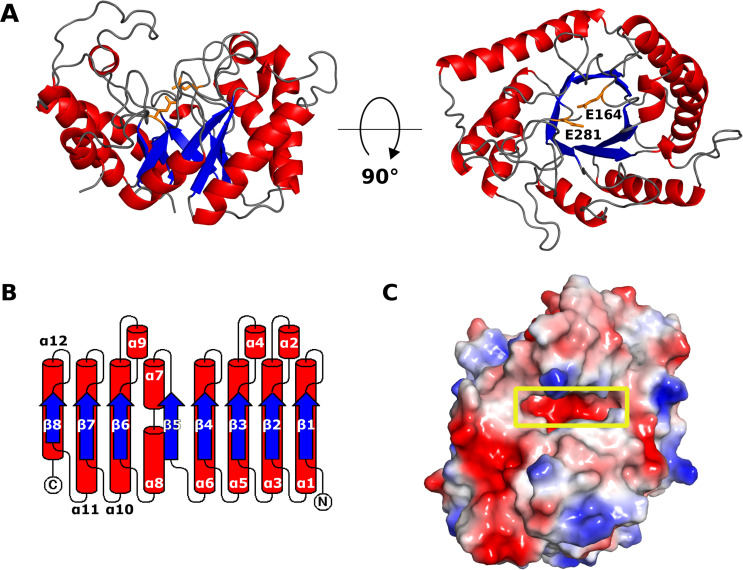 Fig 3