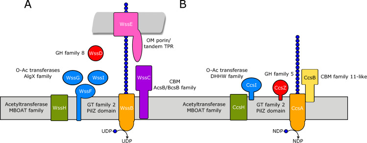 Fig 2