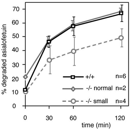 FIG. 8.