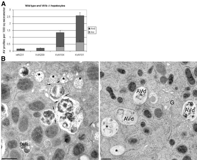 FIG. 9.