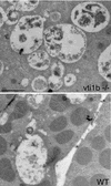 FIG.10.