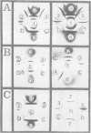 382