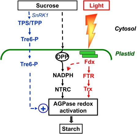 Figure 3.