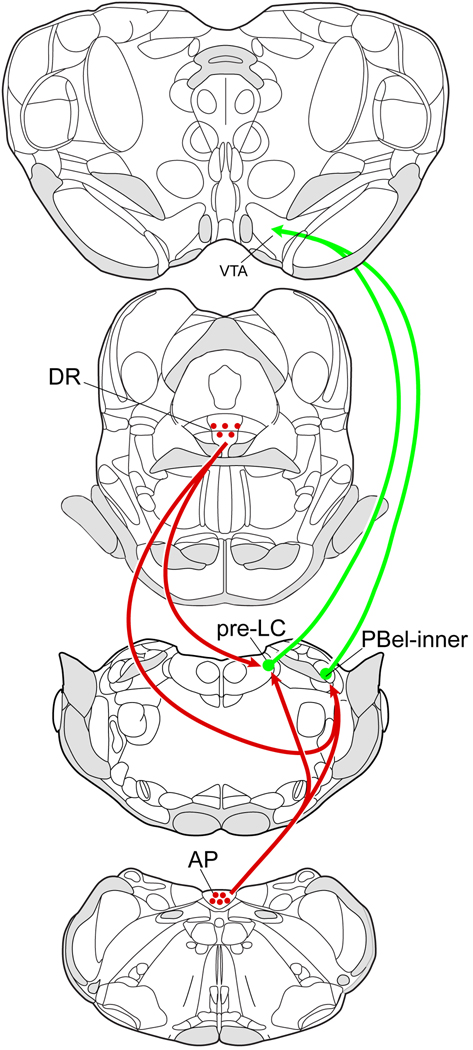 Fig. 6