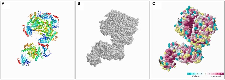 Figure 5