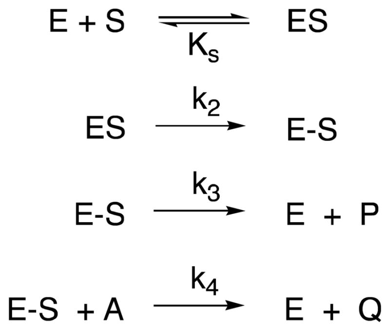 Scheme 6