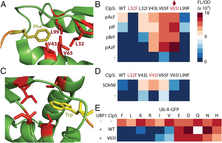 Fig. 2.