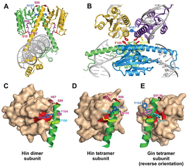 Figure 17