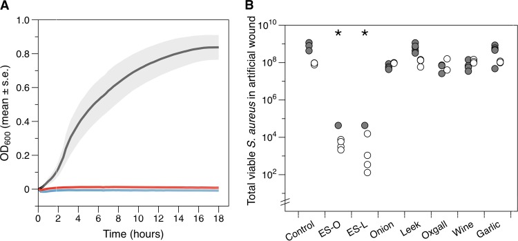 FIG 2 