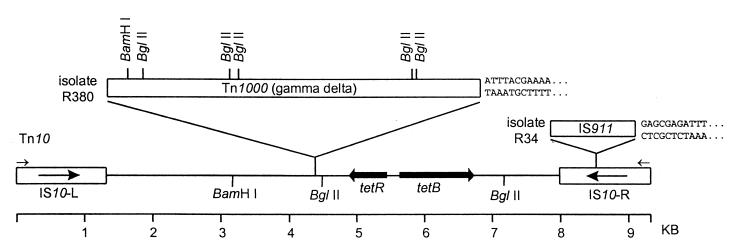 FIG. 3