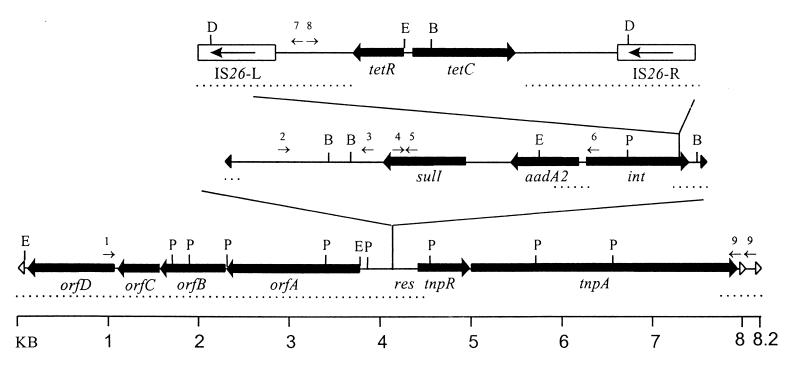 FIG. 7