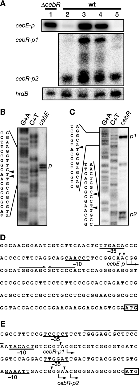 FIG. 5.