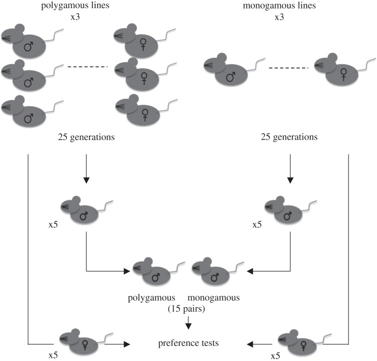 Figure 1.