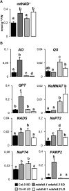 Figure 11.