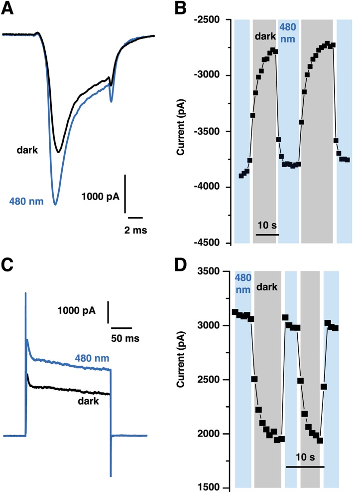 Figure 7