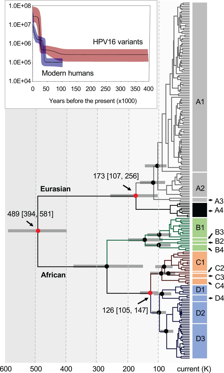 Fig 6