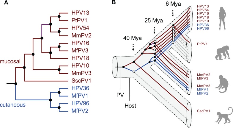 Fig 4