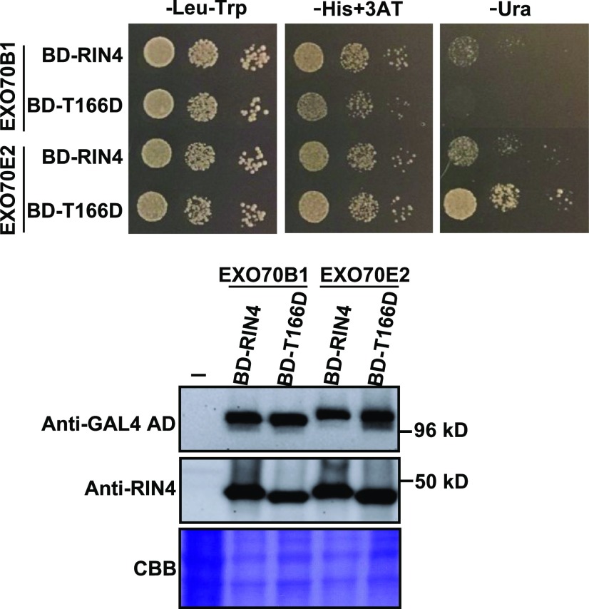 Figure 6.