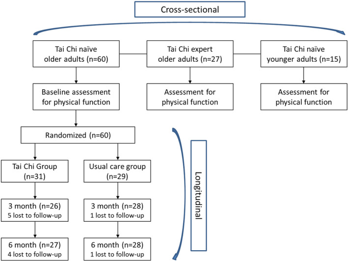 FIGURE 1