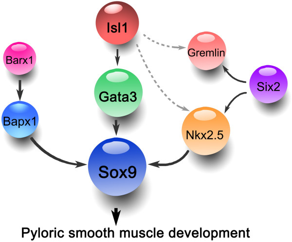 Figure 10