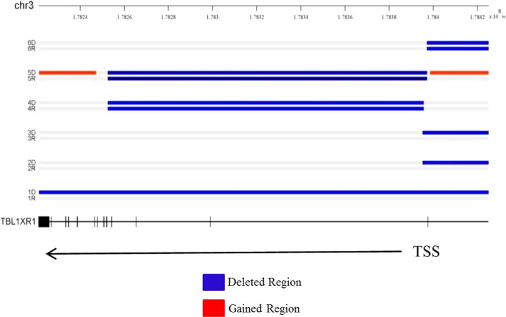 FIGURE 1.