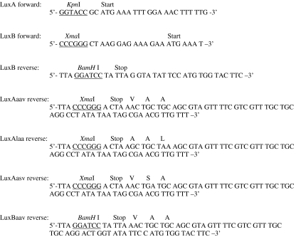 graphic file with name 11693_2006_9001_Tab1_HTML.jpg