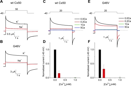 Fig. 6.