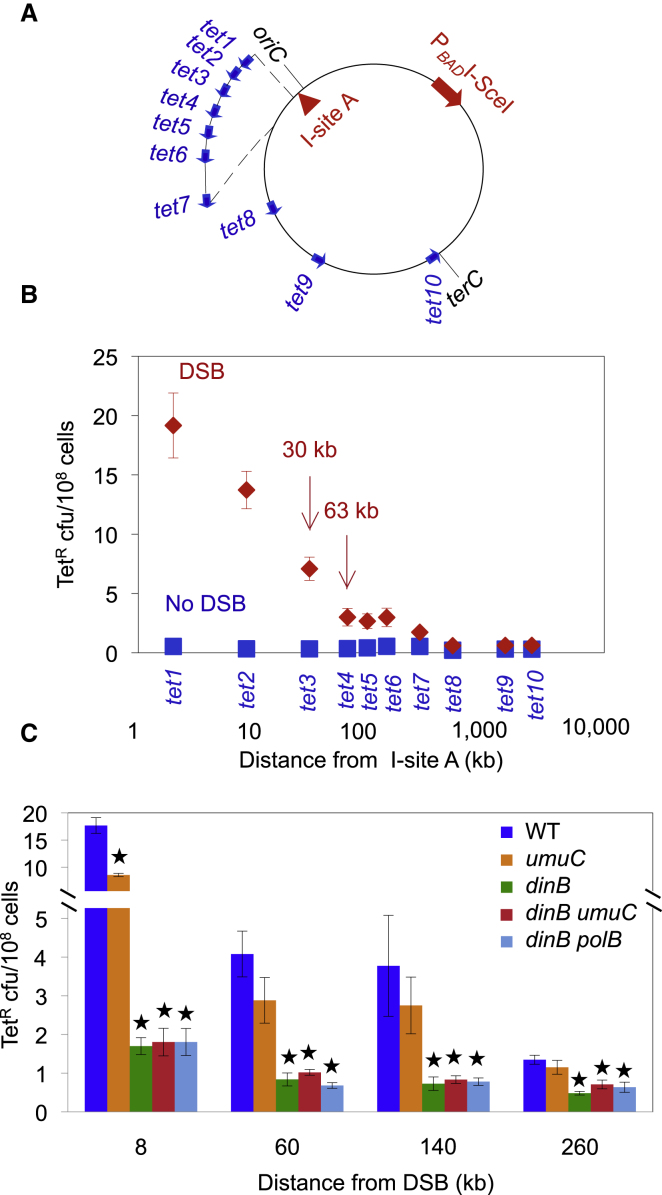 Figure 1