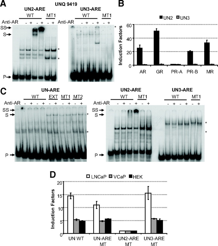 Fig. 10.