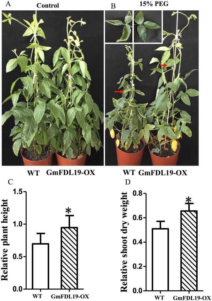 Fig 2