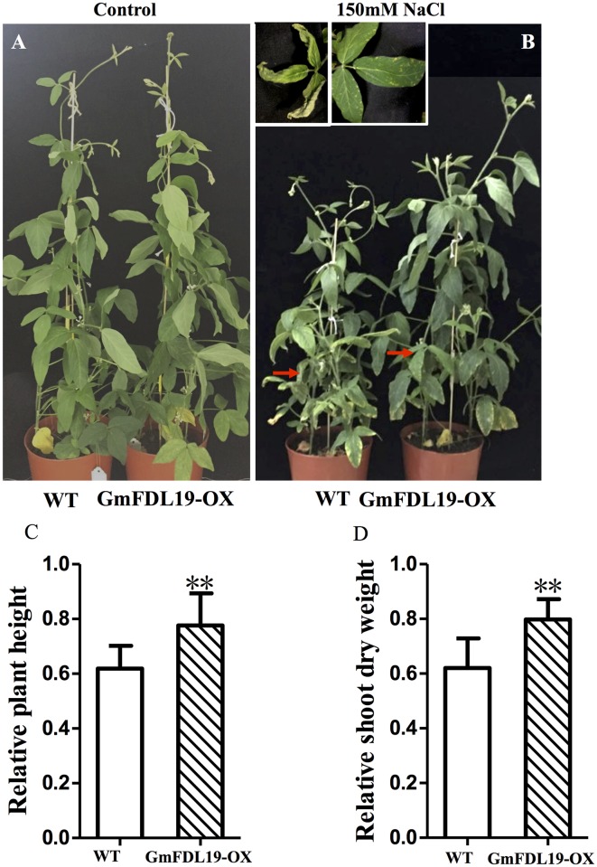 Fig 4