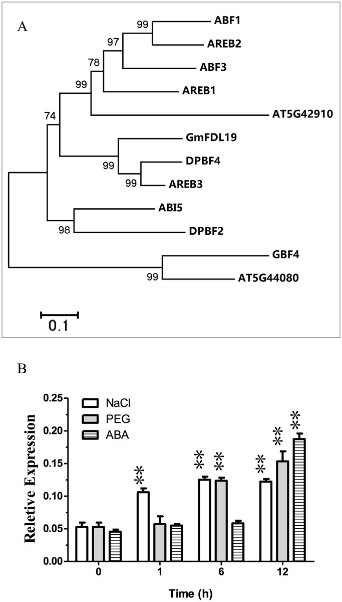 Fig 1