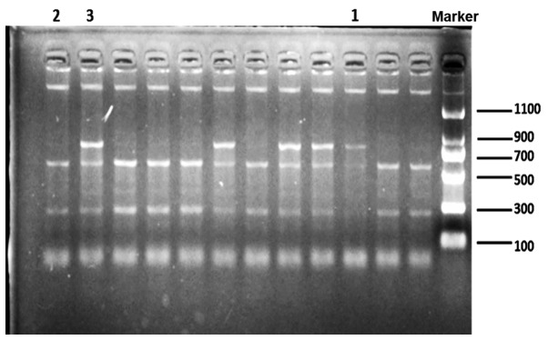 Figure 1.