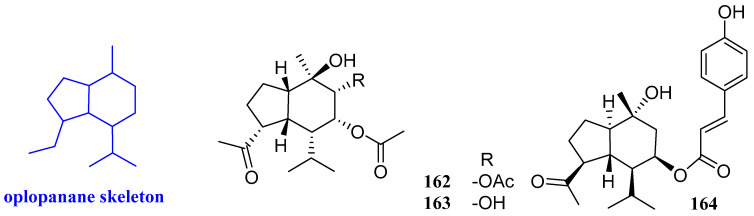 Figure 19