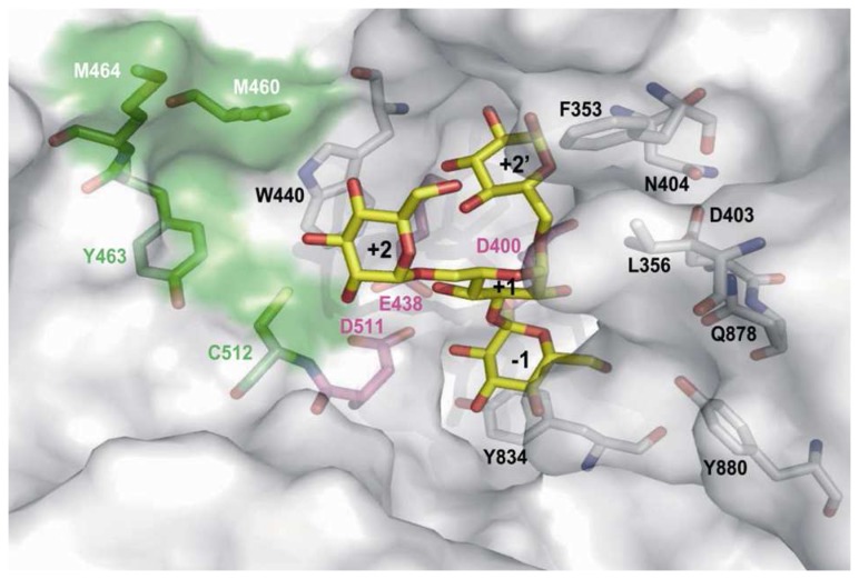 Figure 6