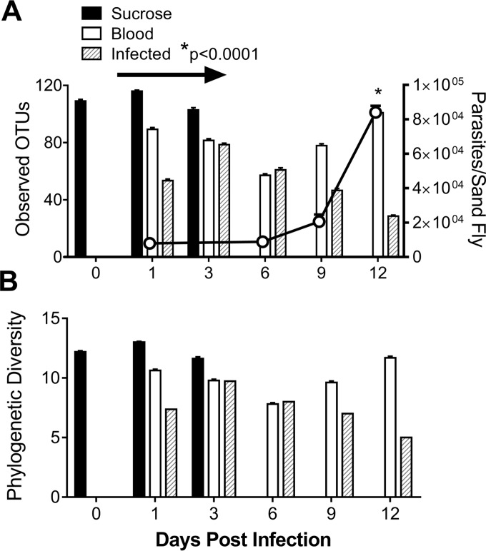 FIG 1 