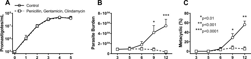 FIG 5 