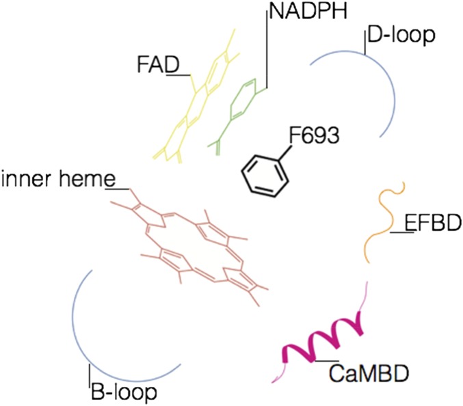 Fig. S6.