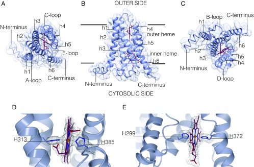 Fig. 3.