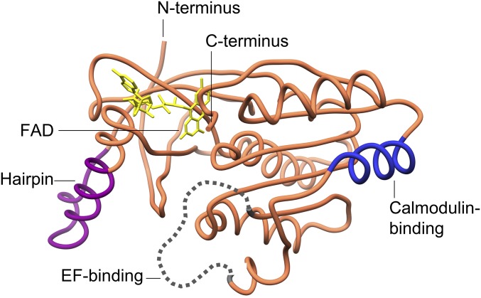 Fig. 2.