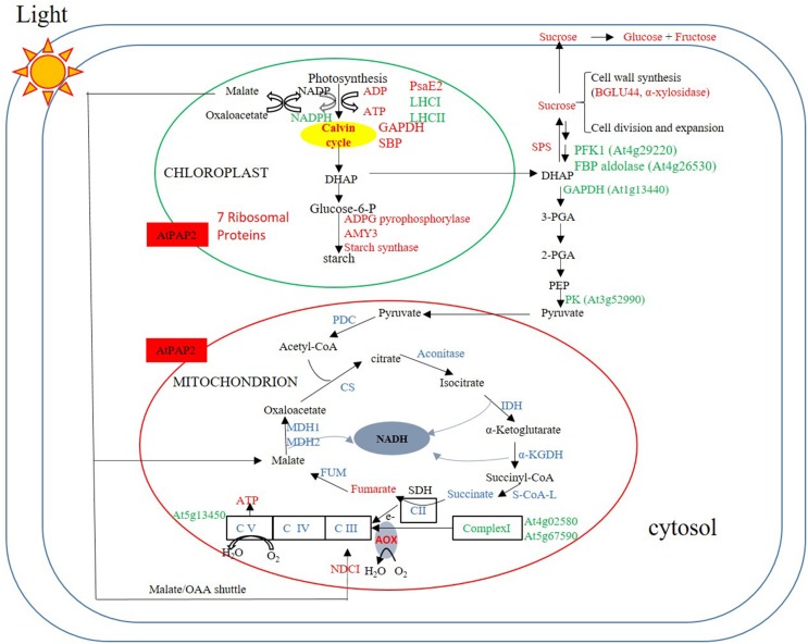 FIGURE 6